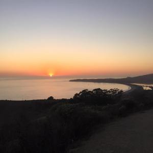 12079055_842446395876012_8916130318488297582_n