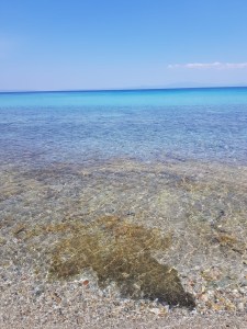 e0329c47-1757-43f0-a42a-cf5d6894bf48